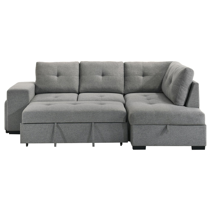 Roanne Pull-Out Sleeper Sectional Sofa