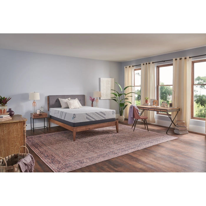 Sealy Second & Park Foam Mattress