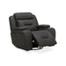 Chapman SG Recliner P2 image