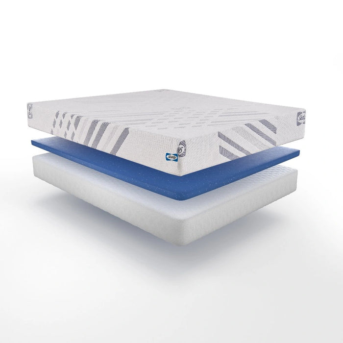 Sealy Lane Foam Mattress