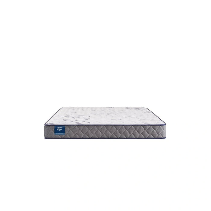 Sealy First & Park Foam Mattress