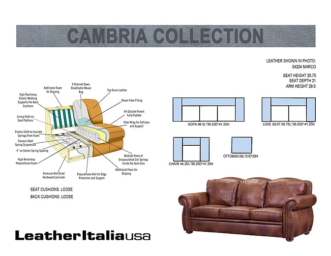 Leather Italia USA Cambria Arizona Chair in Marco